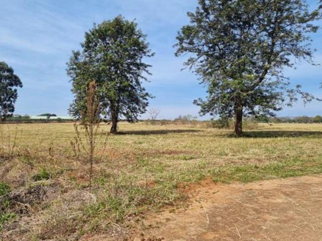 1.3 ha Land available in White River