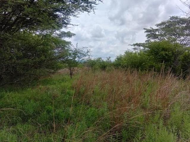 1 456 m² Land available in Koro Creek Golf Estate