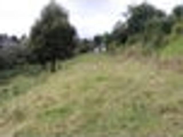 1.47ha Native Bush Retreat–Perfect for Tiny Homes