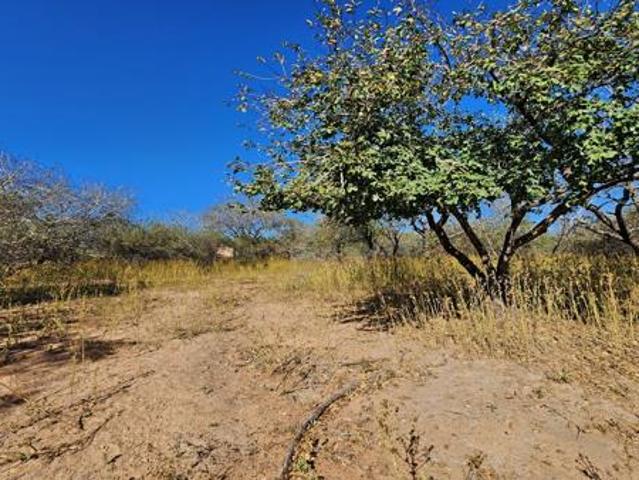 1 480 m² Land available in Marloth Park
