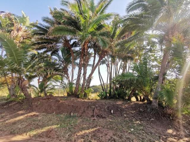 1 482 m² Land available in Port Edward