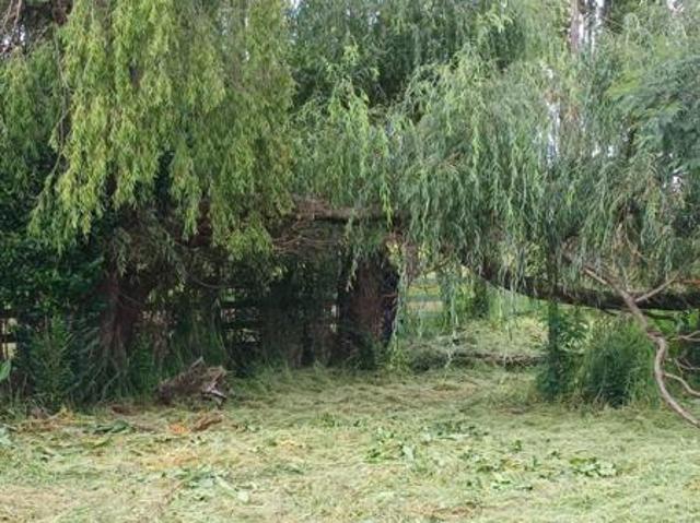 1 487 m² Land available in Belfast