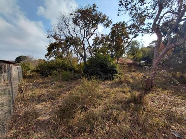 1 487 m² Land available in Vaalwater