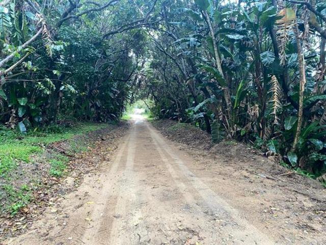 1 493 m² Land available in Palm Beach