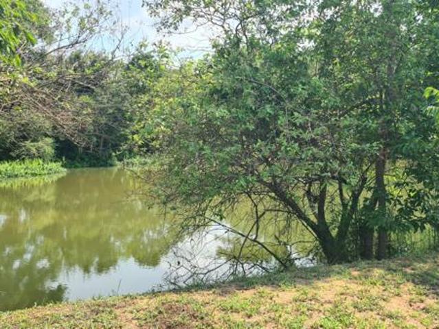1 499 m² Land available in Sabie River Eco Estate
