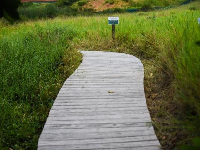 1 406 m² Land available in Zululami Luxury Coastal Estate