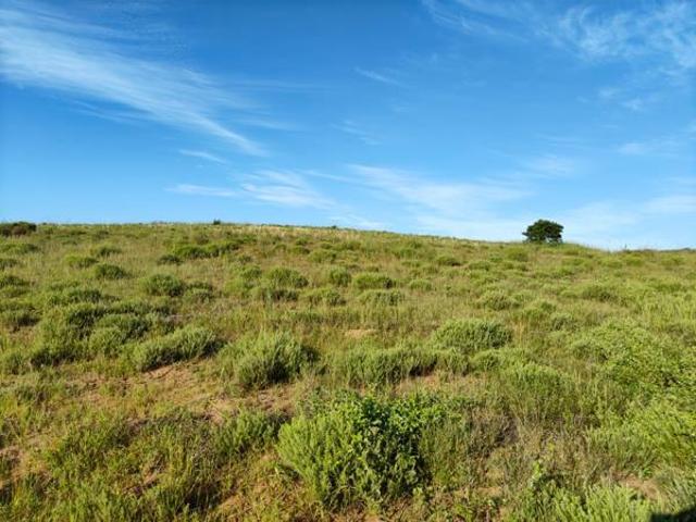 1 410 m² Land available in Seaton Estate
