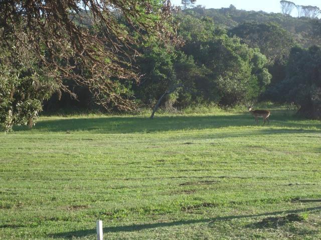 1,410m² Vacant Land For Sale in Cove Rock