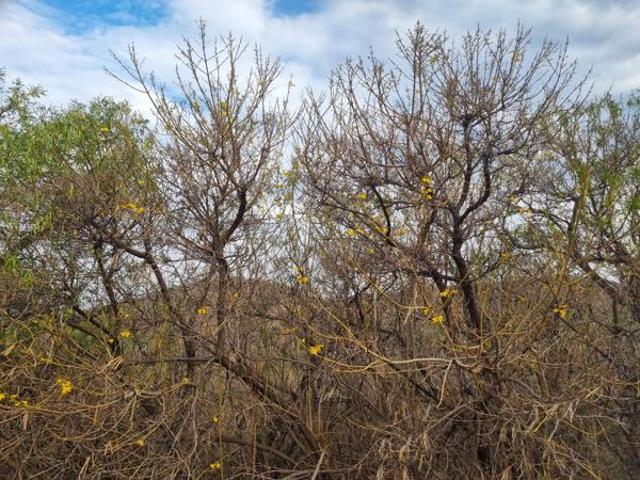 1 418 m² Land available in Cashan