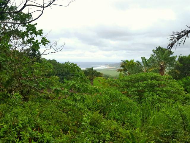 1 426 m² Land available in Woodgrange