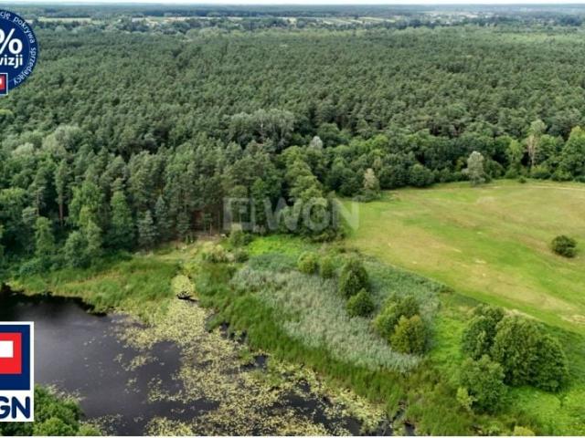 1 435 m², Skrzeszew