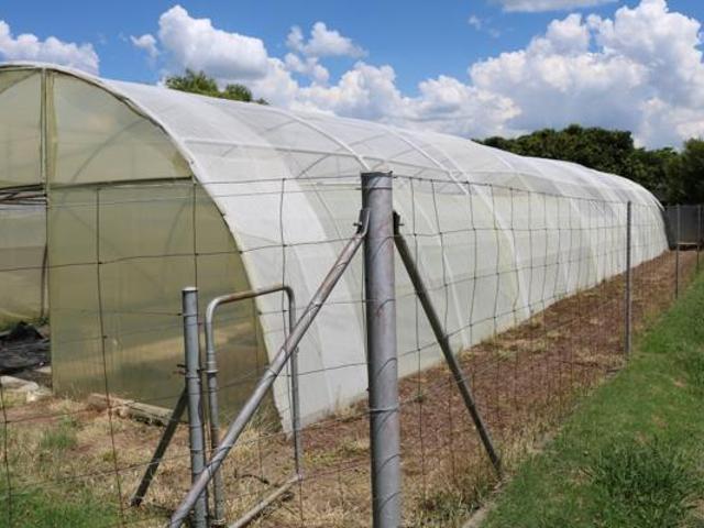 1.4 ha Land available in Oranjeville