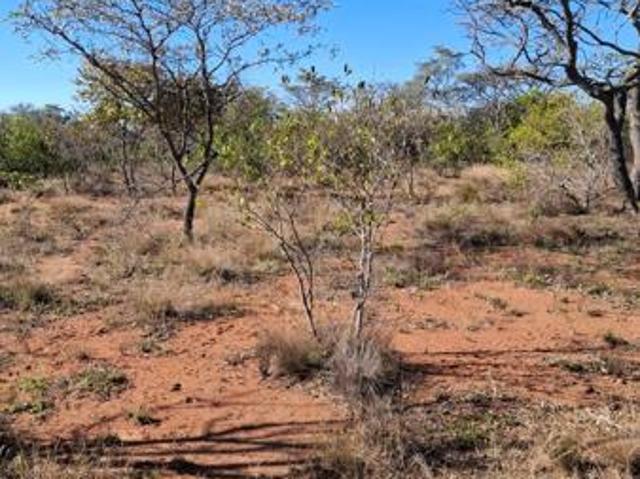 1.4 ha Land available in Modimole Nylstroom