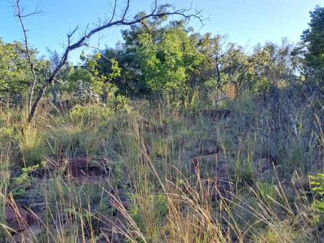 1.4 ha Land available in Modimolle Nylstroom