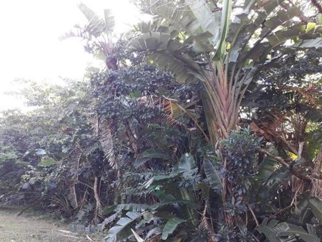 1.4 ha Land available in Southbroom