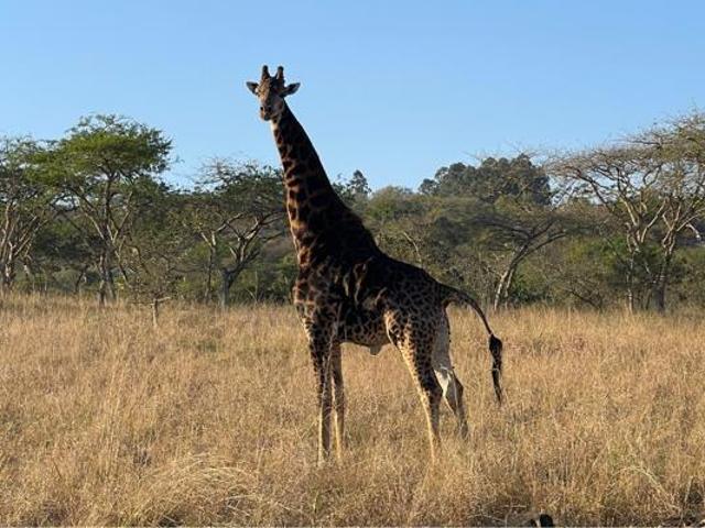 1.4 ha Land available in Wild Fig Country Estate