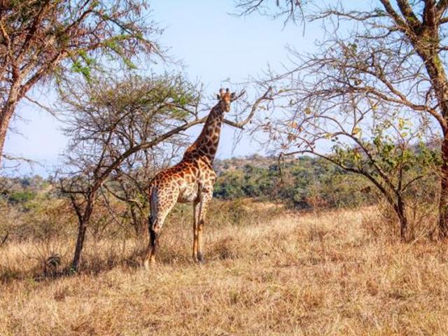 1.4 ha Land available in Wild Fig Country Estate