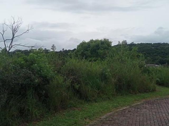 1.4 ha Land available in Wild Fig Estate