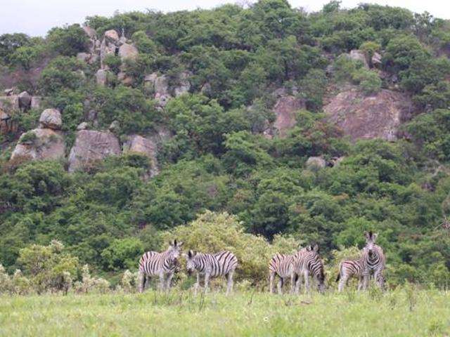 1.4 ha Land available in Wild Fig Country Estate