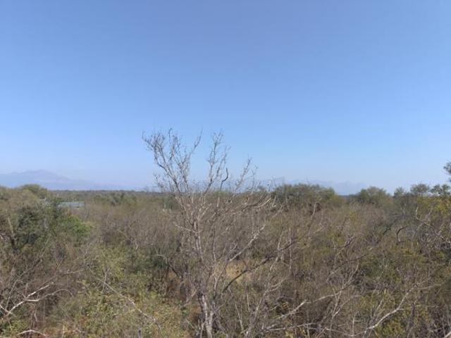 1.4 ha Land available in Zandspruit Bush & Aero Estate
