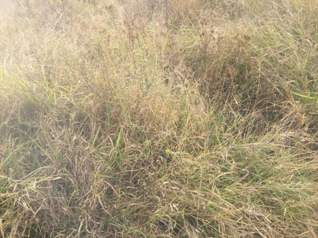 1 547 m² Land available in Ohrigstad