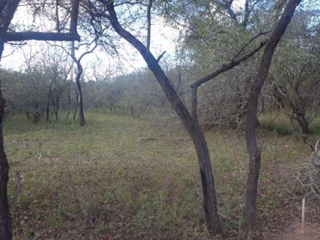 1 554 m² Land available in Marloth Park