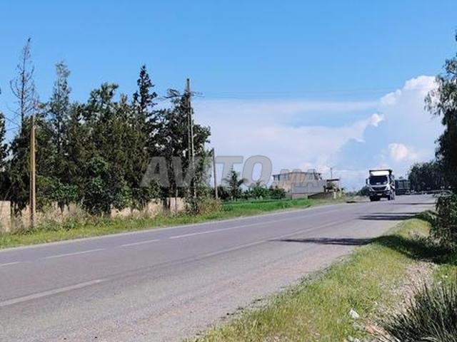 1.556 ha titré avec puits à Benslimane