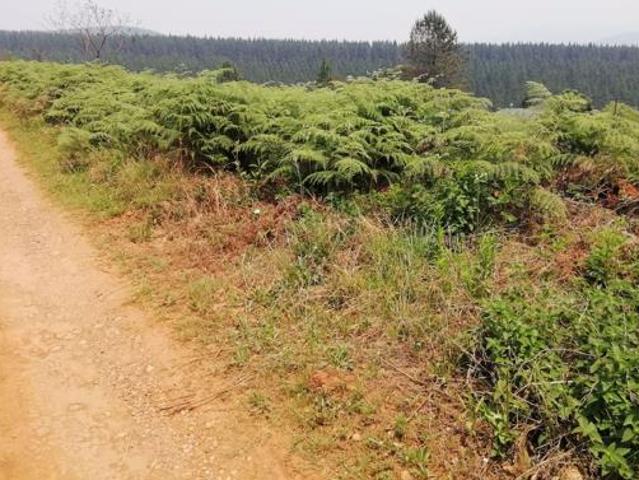 1 556 m² Land available in Sabie