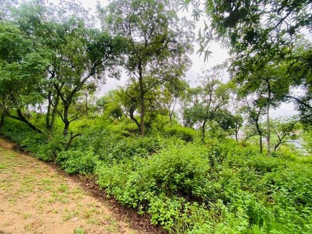 1 560 m² Land available in Drum Rock
