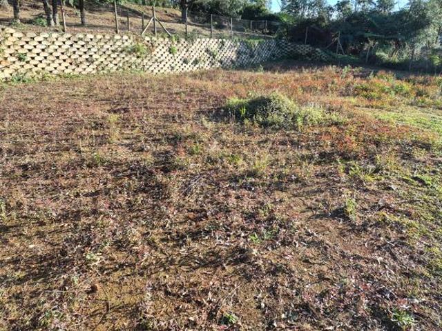 1 562 m² Land available in Mount Michael