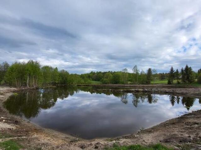 1,56ha DZIAŁKA BUDOWLANA ZE STAWEM 35min od Gdańsk