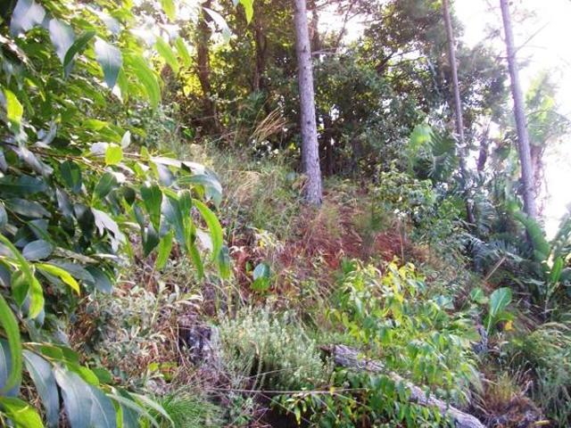 1 573 m² Land available in Trafalgar