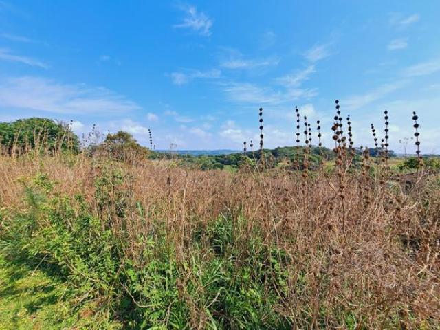 1 575 m² Land available in Port Edward