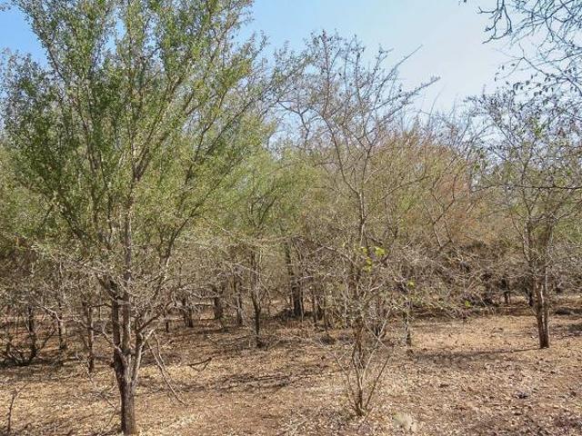 1 500 m² Land available in Marloth Park