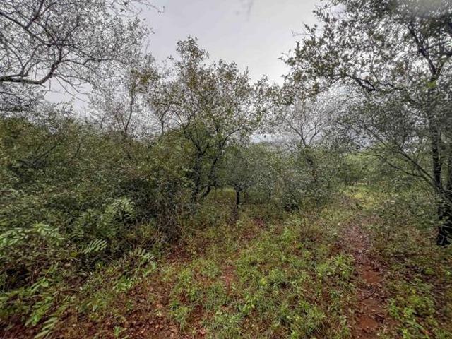 1 500 m² Land available in Marloth Park