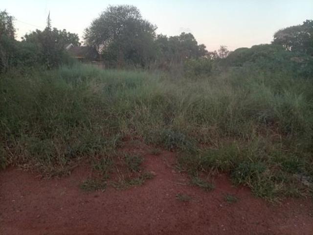 1 500 m² Land available in Mookgophong Naboomspruit