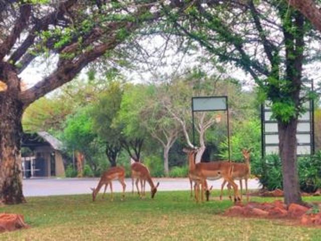 1 500 m² Land available in Koro Creek Golf Estate