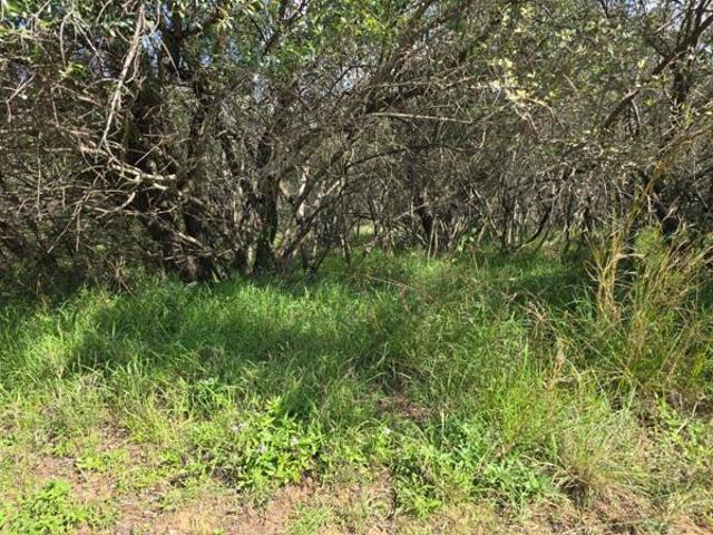 1 500 m² Land available in Koro Creek Golf Estate
