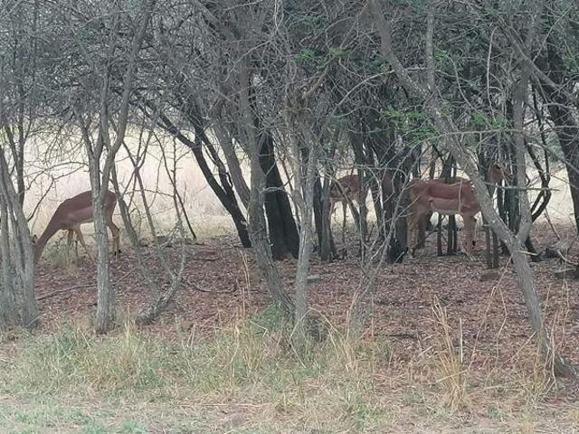 1 500 m² Land available in Koro Creek Golf Estate