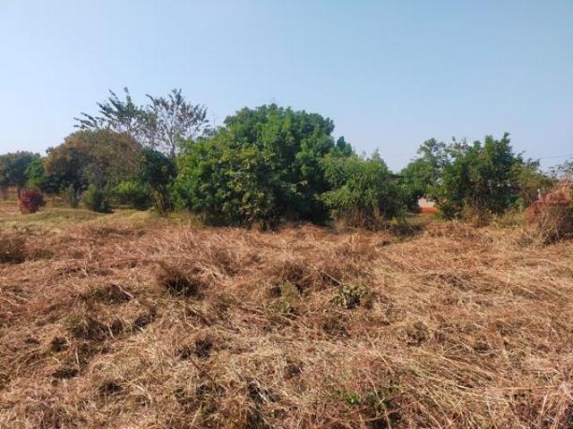 1 500 m² Land available in Thohoyandou