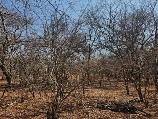 1 525 m² Land available in Marloth Park