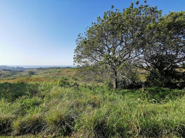 1 529 m² Land available in Port Edward