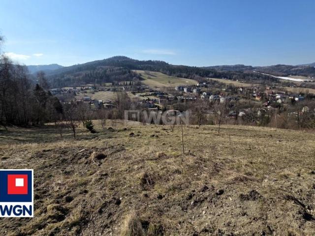 1 530 m², Wisła
