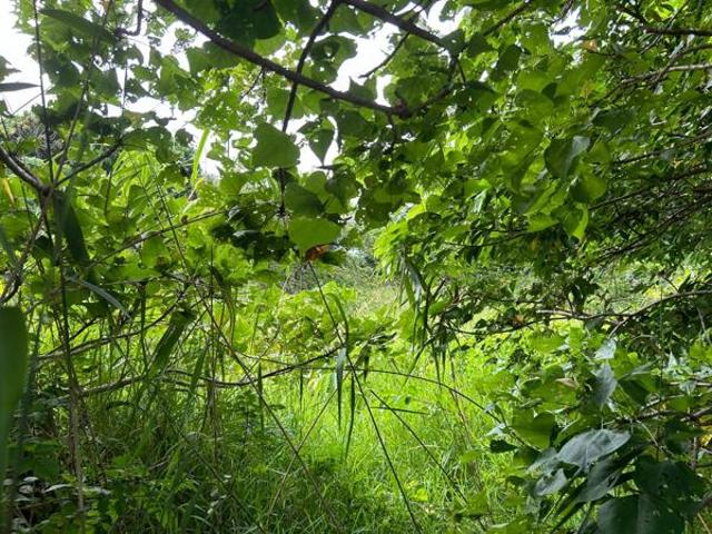 1 535 m² Land available in Zini River Estate