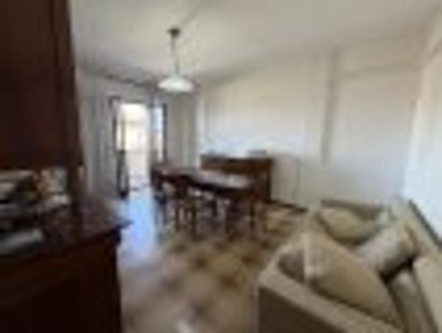 1,5 camere in affitto