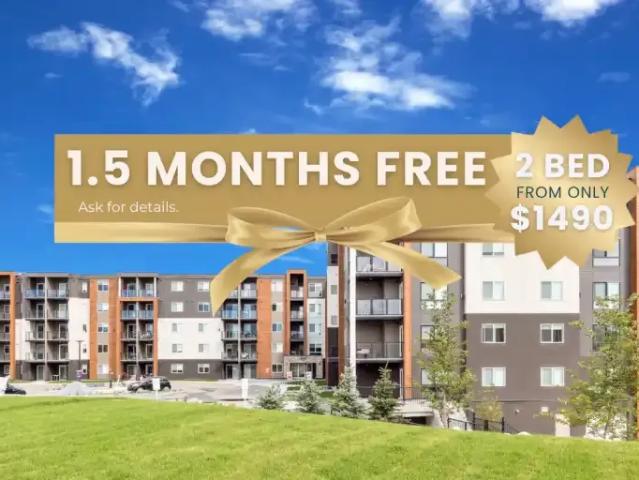 1.5 Bedroom Apartment Calgary AB LS93720937