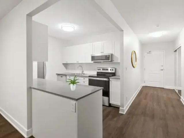 1.5 Bedroom Apartment Kingston ON 102242536