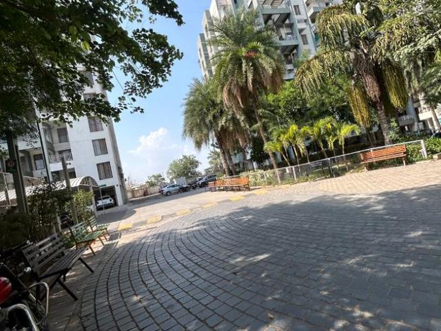 1.5 BHK Apartment in Wagholi for rent Pune. The reference number is 20249469