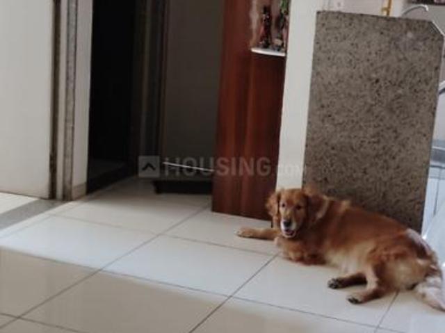 1.5 BHK Apartment in Gota for resale Ahmedabad. The reference number is 20314505