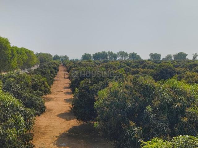 1.5 BHK Farm House in Shadnagar for resale Hyderabad. The reference number is 16747018